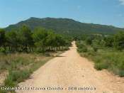 Collado de Cerro Gordo - ES-V- 806 mtres