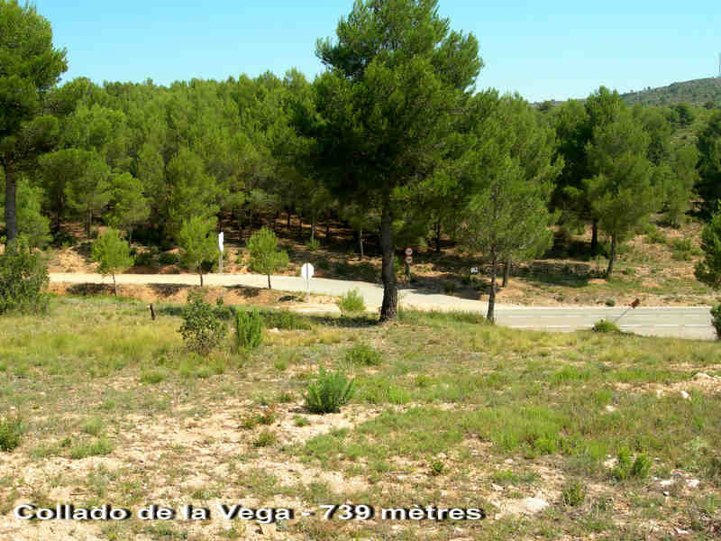 Agrandir l'image Collado de la Vega - ES-V-0739