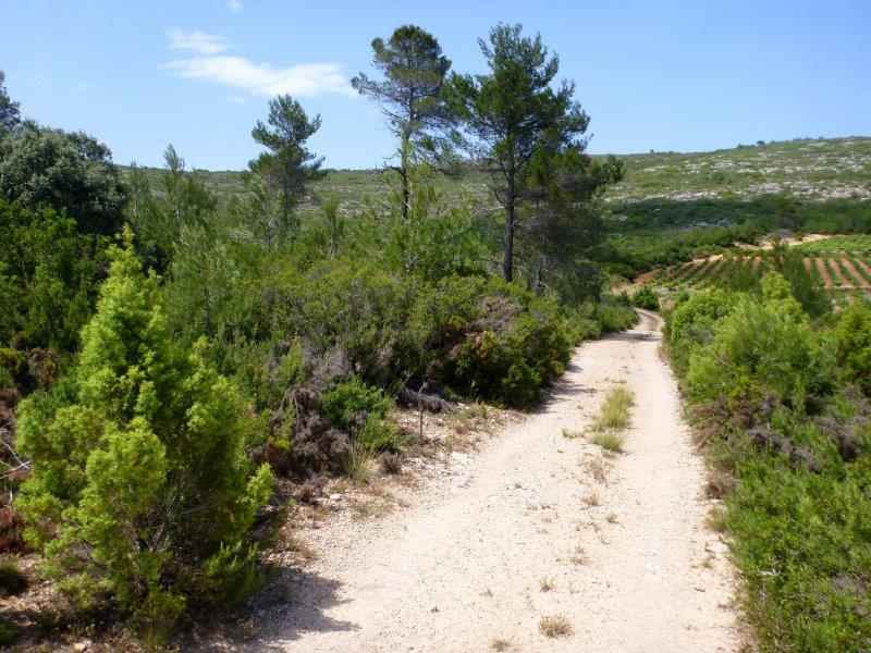 En direction du Collado Berna