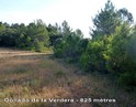 Collado de la Verdera - ES-V-825 mtres