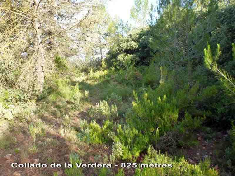 En direction du Collado de la Vereda