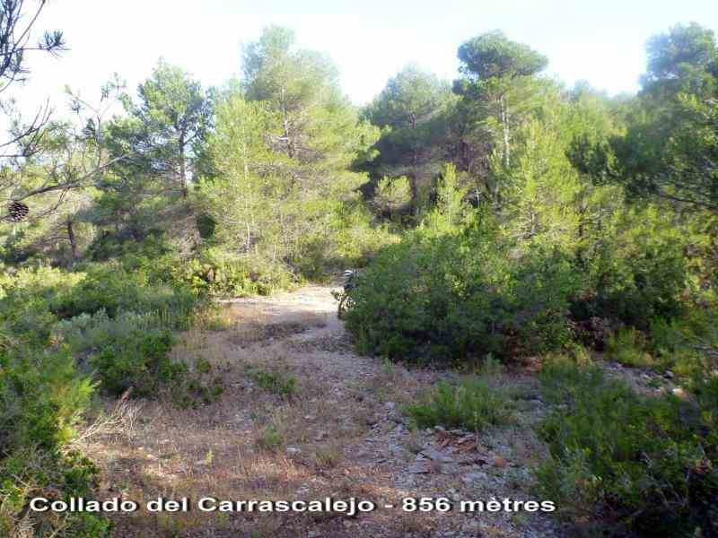 Collado del Carrascalejo - ES-V-0856