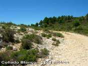 Collado Blanco - ES-MU- 1264 mtres