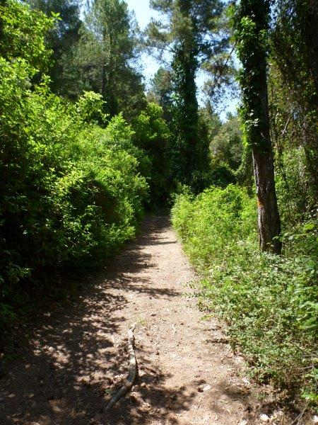 En direction du Coll de Cavaller