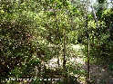 Coll de Palomers - ES-GI-0630d