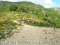 Agrandir l'image Col des Airettes - FR-30-0955