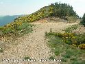 Agrandir l'image Col des Airettes - FR-30-0955