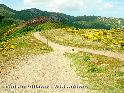 Agrandir l'image Col du Villaret - FR-30-0805