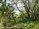 Agrandir l'image Pas du Loup - FR-30-1198
