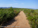 Agrandir l'image Coll de Bou - ES-T-0330a