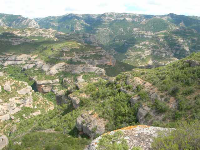En direction du Coll de la Boronada