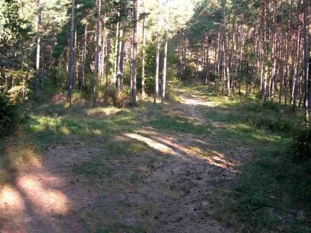 En direction de la Creu de Roset