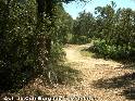 Agrandir l'image Coll de Can Burgada - ES-B-0149a