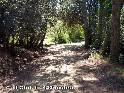 Agrandir l'image Coll Cintet - ES-B-0424a