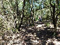 Agrandir l'image Coll de Pallera - ES-B-0557a