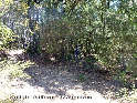 Agrandir l'image Coll de Pallera - ES-B-0557a