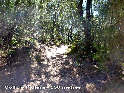 Agrandir l'image Coll de Pallera - ES-B-0557a