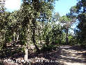 Agrandir l'image Coll del Bruc - ES-B-0530e