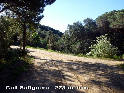 Agrandir l'image Coll Safiguera - ES-B-0270a