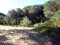 Agrandir l'image Coll Safiguera - ES-B-0270a