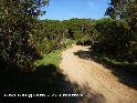 Agrandir l'image Coll Safiguera - ES-B-0270a