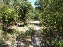 Agrandir l'image Coll de L'Abellera - ES-T-0735