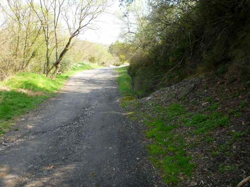 Agrandir l'image En direction de la Couillade de Rivière