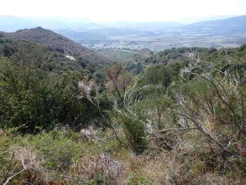 Agrandir l'image En direction de la Couillade de Rivière