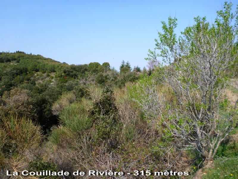 Agrandir l'image La Couillade de Rivière - FR-11-0315a