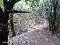 Col de Bardou - FR-34-0642