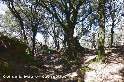 Col de Molle ou Col de la Maure - FR-34-0625c