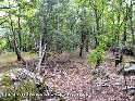 Col du Renard - FR-34-0645b