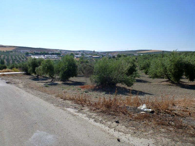 Agrandir l'image Cazalilla
