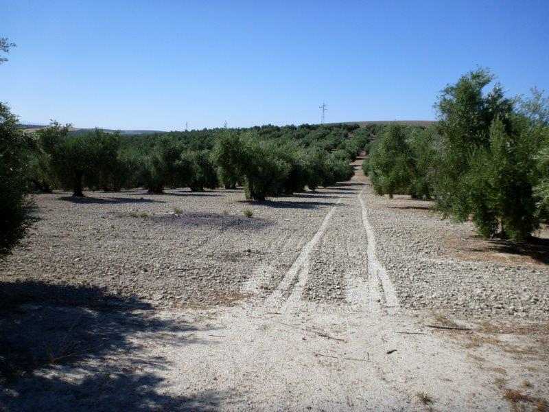 Agrandir l'image Portichuelo