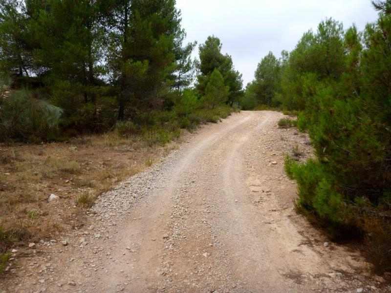 Agrandir l'image En direction du Collado del Puerto