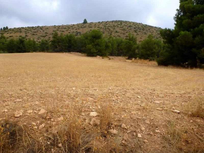 Agrandir l'image Collado del Puerto - ES-MU- 932 mètres