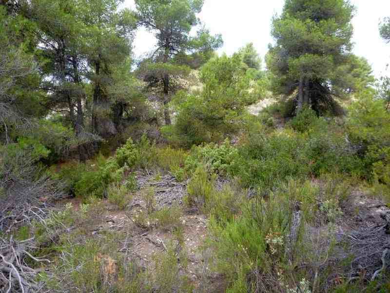 Agrandir l'image En direction du Collado del Canalón