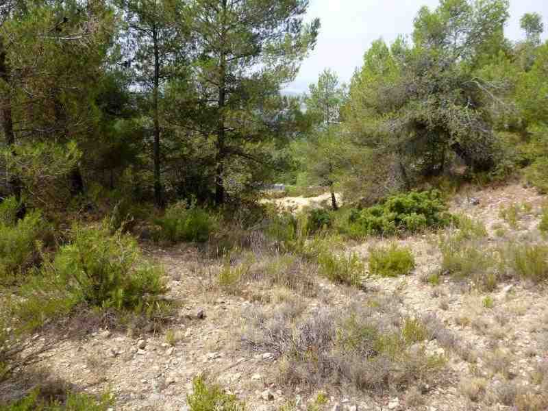 Agrandir l'image En direction du Collado del Canalón