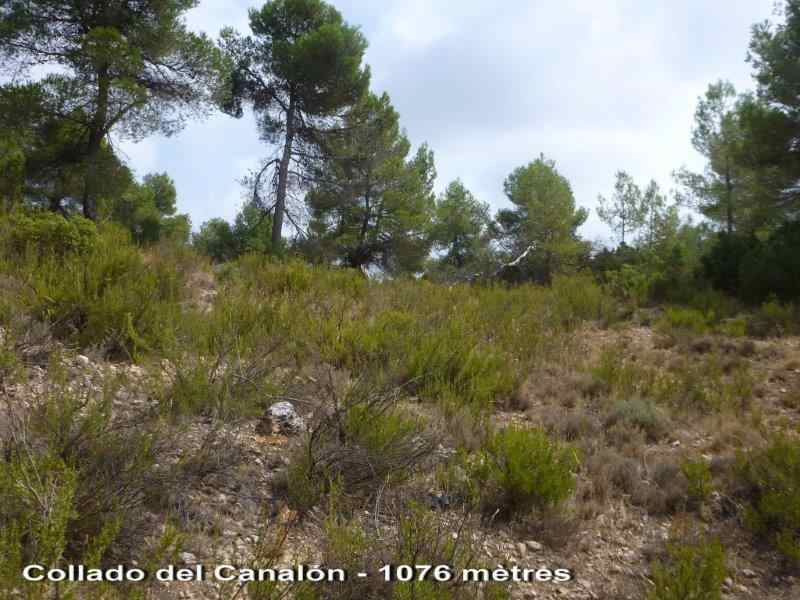 Agrandir l'image En direction du Collado del Canalón