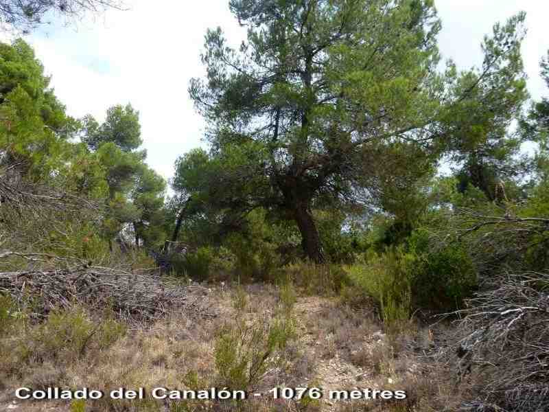 Agrandir l'image En direction du Collado del Canalón