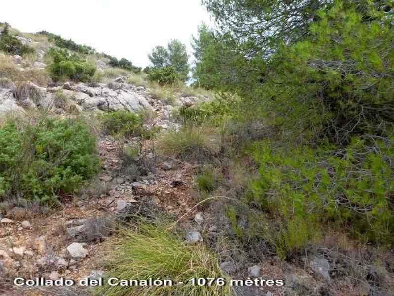Agrandir l'image En direction du Collado del Canalón