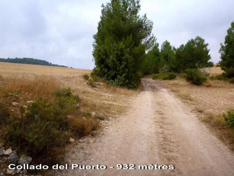 Agrandir l'image Collado del Puerto - ES-MU- 932 mètres