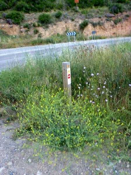Agrandir l'image En direction du Collado de Espés