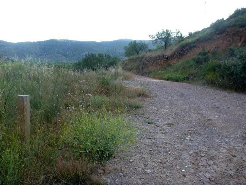 Agrandir l'image En direction du Collado de Espés