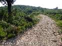 Coll de les Bordes