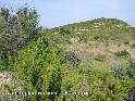 Coll de les Bordes - ES-CS-0464