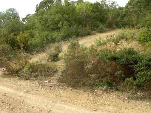 Agrandir l'image Embranchement du chemin vers le col de Caumilles