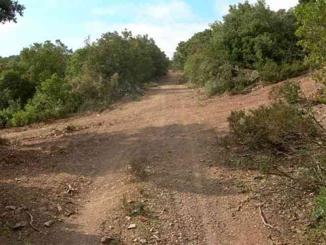 Agrandir l'image Croisement avec chemin de type coupe-feu