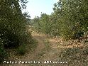Agrandir l'image Col de Caumilles - FR-11-0475a