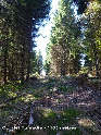 Agrandir l'image Col del Fumadis - FR-81-1105